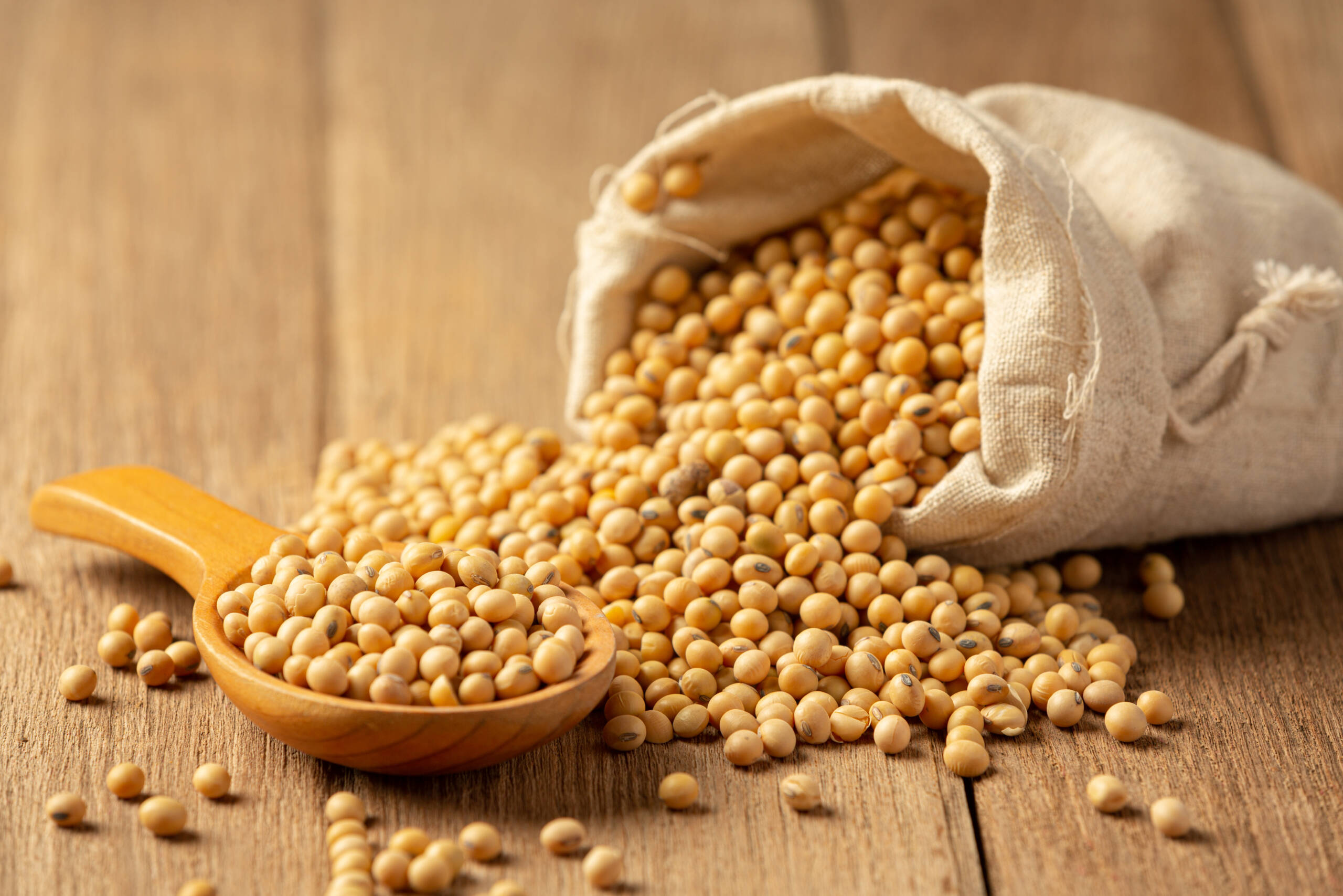 Aglymax® Fermented Soybean Germ Extract